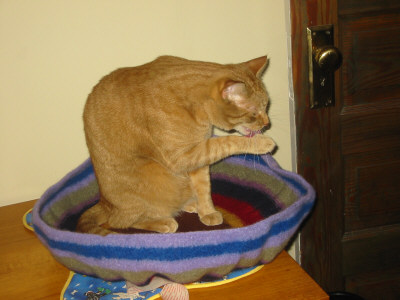 Joe takes a bath in his new bed