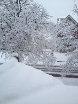 The view of the snow from the second floor