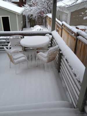 Snowy back deck