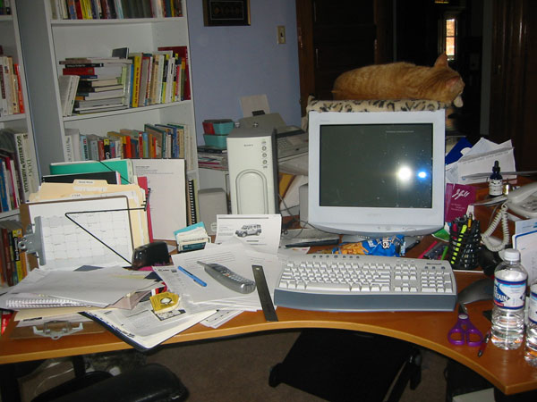 Messy home workstation with cat