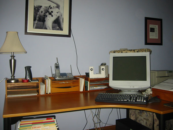 Neat home workstation