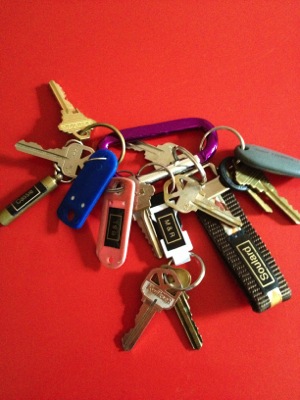 Friends' keys are labeled and put on a carabiner for easy access