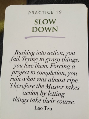 Slow down Pause Card