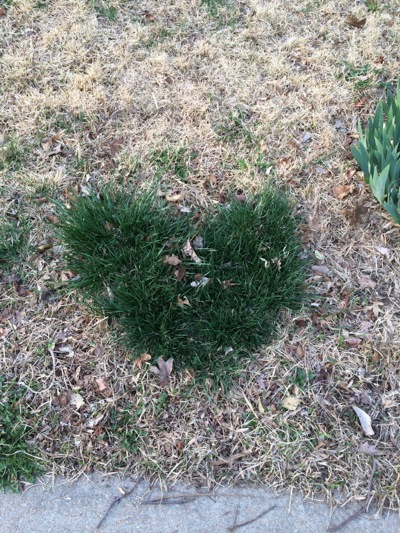 A little love from Mother Nature!