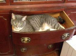 An empty drawer is a thing of beauty